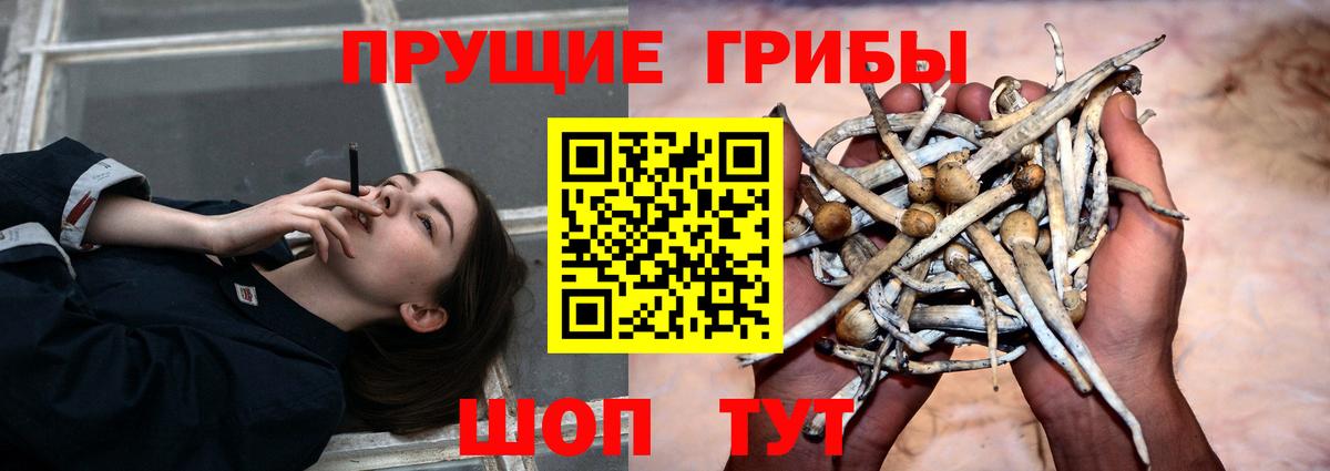 Калуга  Галлюциногенные грибы GOLDEN TEACHER  Вход с VPN  Галлюциногенные грибы Cubensis 